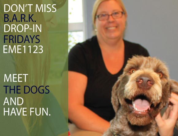 BARK drop-in sessions