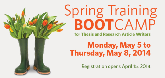 Spring boot camp graphic