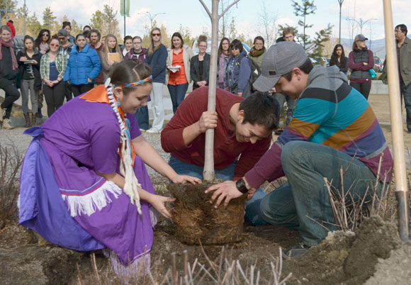 From left: UBC students Hailey Causton, Nicholas Clark and Spencer Belcourt tease the roots out on the maple tree next to the outdoor amphitheatre, just southeast of the EME building, before the tree is placed in the ground.
