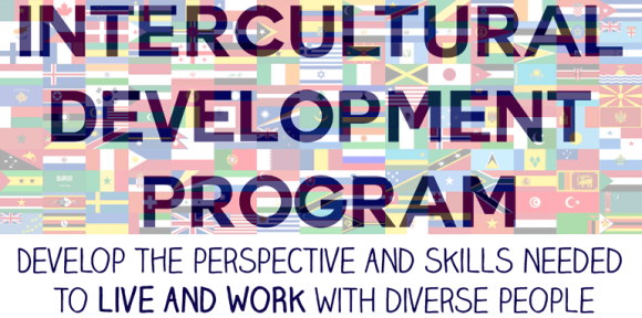 Intercultural Development Program logo