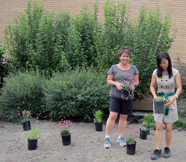 Garden Club members Krista Stokell (left) and Jennifer Ma get ready to plant at the south-side plant bed of the Reichwald Health Sciences Centre.