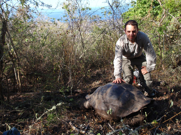 Researcher Michael Russello with a tortoise that is a hybrid of a tortoise species native to Floreana Island (Chelonoidis elephantopus) some 320 kilometres away from its habitat on Isabela Island, and thought to be extinct.