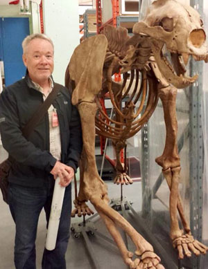 UBC Assoc. Prof. Rob Young stands beside the skeleton of a short-faced bear, an extinct carnivore that is known as an ice age super predator. Young is giving a public lecture about post-dinosaur landscape erosion in the Alberta Badlands on October 15.