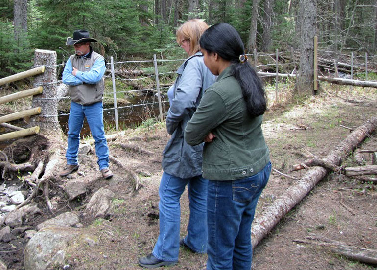 Rob Dinwoodie, with BC Ministry of Forests, Lands and Natural Resource Operations, meets with UBC professor Deborah Roberts and research student Nusrat Urmi at a nose-hole on a creek. The nose-hole is built specifically so cattle can access water without wading into it.