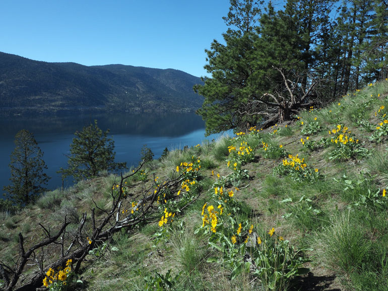 The Okanagan Research Forum will discuss changes this region is facing due to climate change, population growth, and land use changes.