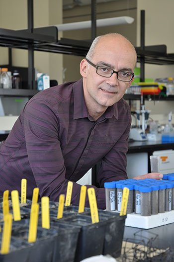 John Klironomos is a professor of biology at UBC’s Okanagan campus.