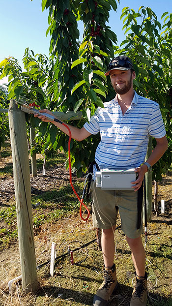UBC student Tristan Watson conducts research on root disease in cherry orchards.