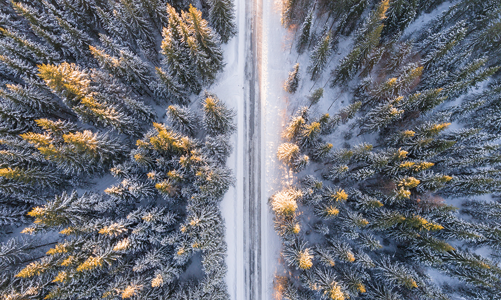 Aerial photo of highway going through a forest