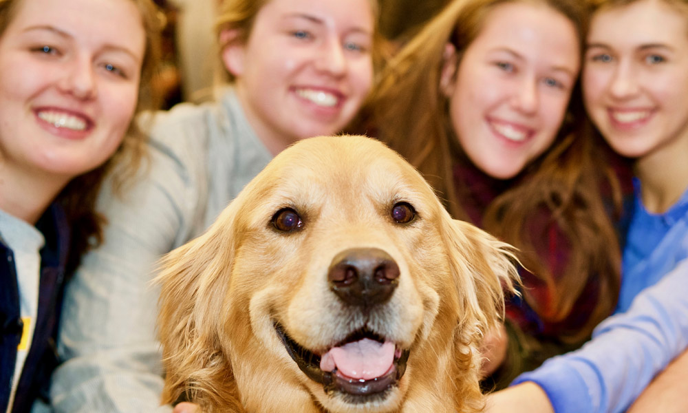 Golden retriever smiling for the camera with a group of students