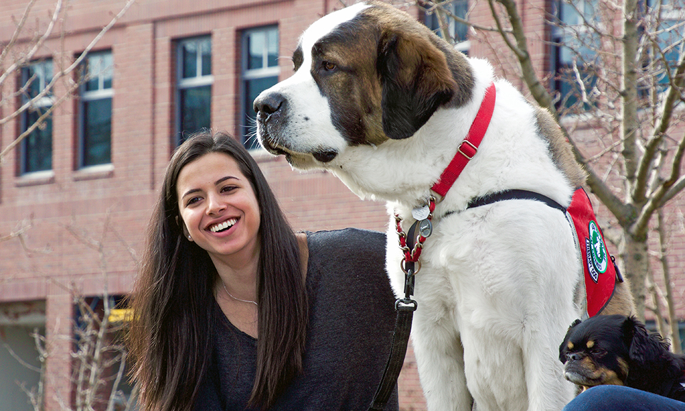 Student with St. Bernard dog