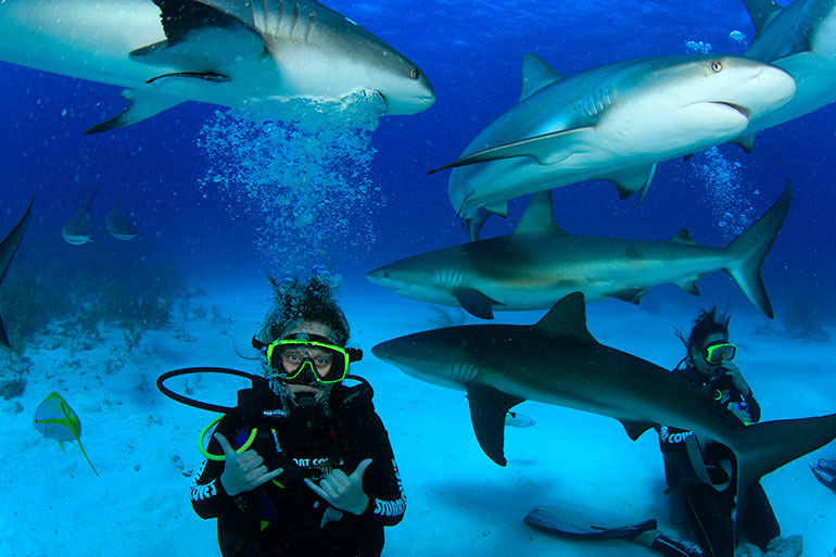 Zoology grad Ashley Kerik has ambitions of study freshwater sharks.
