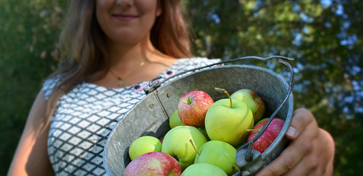 Casey Hamilton holding a metal bucket full of apples
