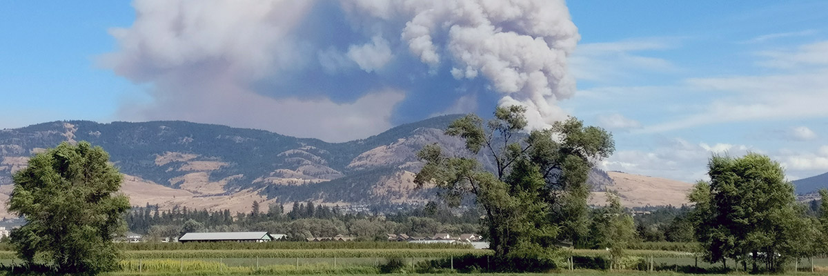 Expert Q&A: Wildfire season in the Okanagan Valley - UBC Okanagan News