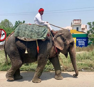 Man riding an elephant in India