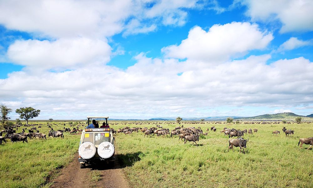 A safari jeep in Serengeti National Park