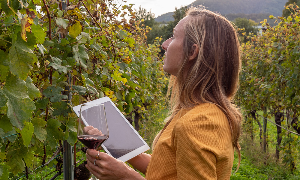 Young woman tasting red wine in vineyard using digital tablet