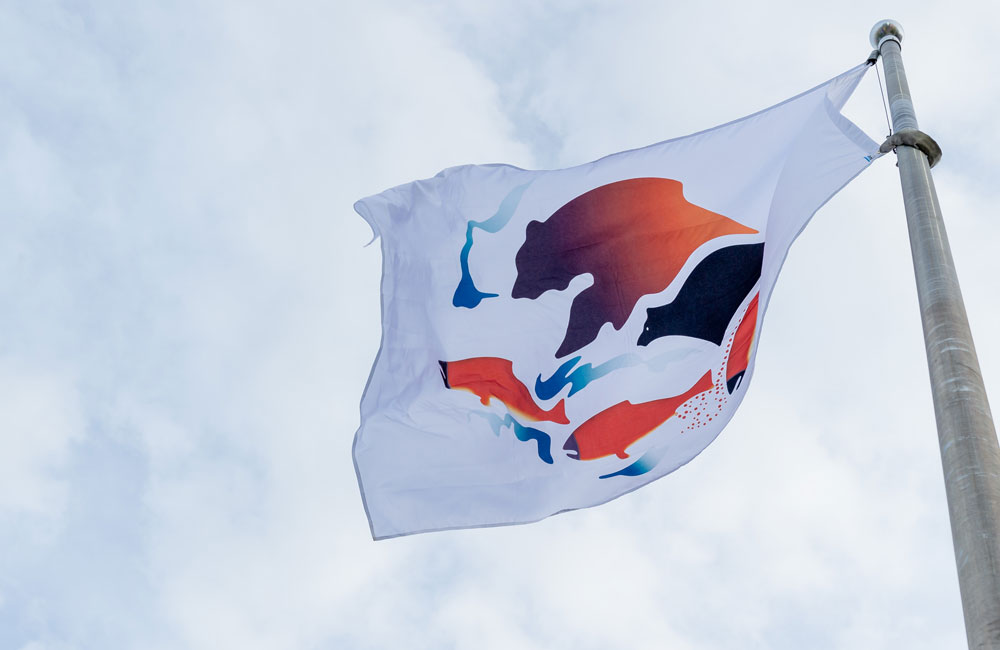 A close-up of the ONA flag