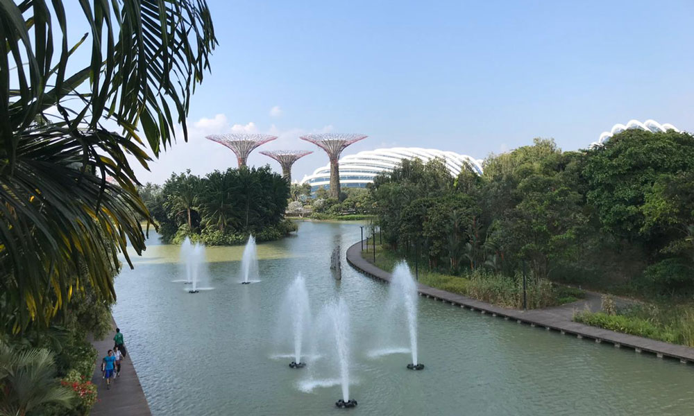 Supertree Groves at Gardens by the Bay, Singapore.