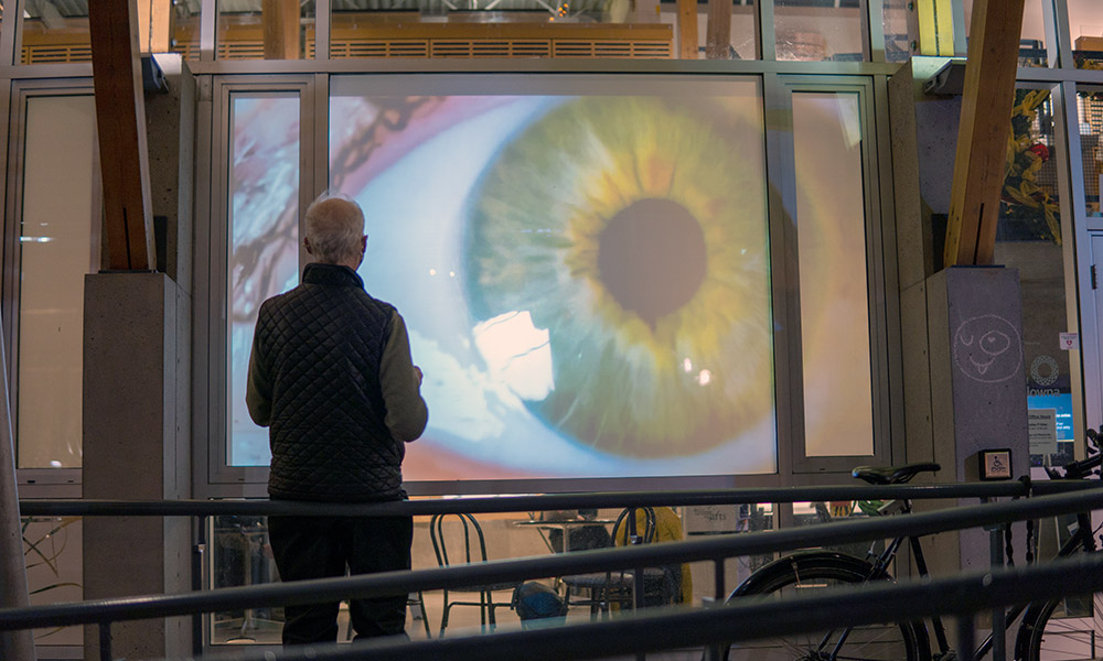 A man observing an art exhibition