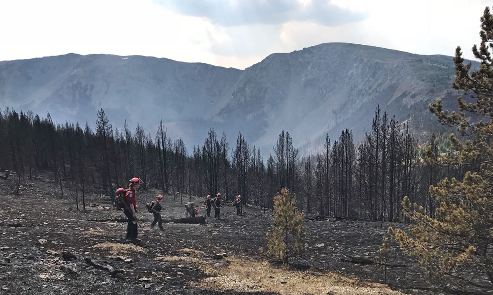 A line of men walking through an area that was recently burned