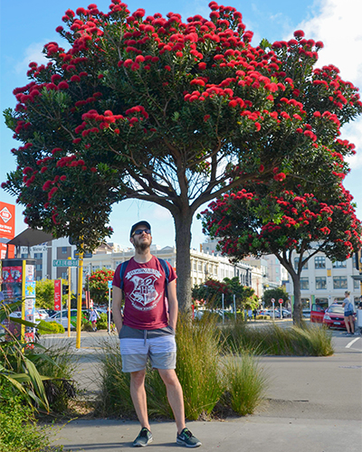 Dr. Fabio Mologni standing in front of a red pohutukawa tree in new zealand