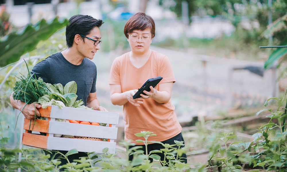 A photo of farmers using a smartphone to sell product