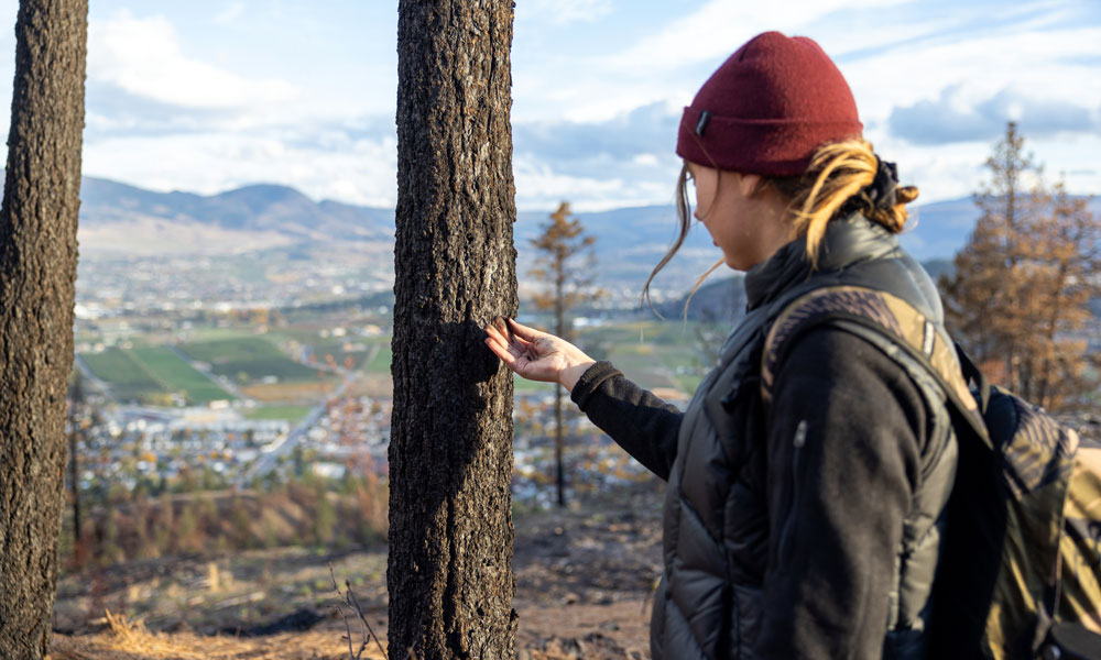 A woman faces a tree and is pictured touching the burnt bark on the tree.