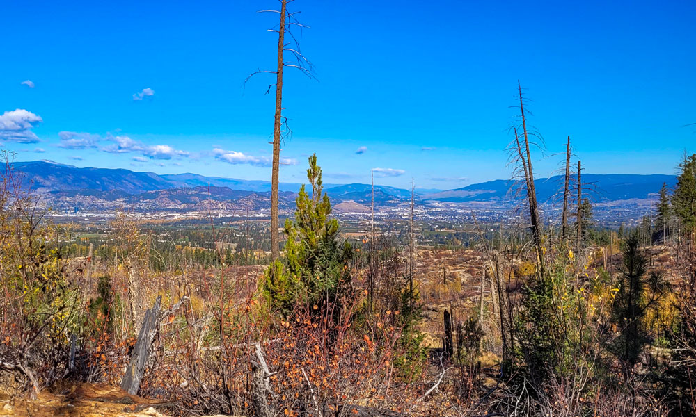 A landscape photo of the Okanagan Valley, with brownish brush in the foreground. A few sticks from old trees are standing, and in the background is the Okanagan Valley.