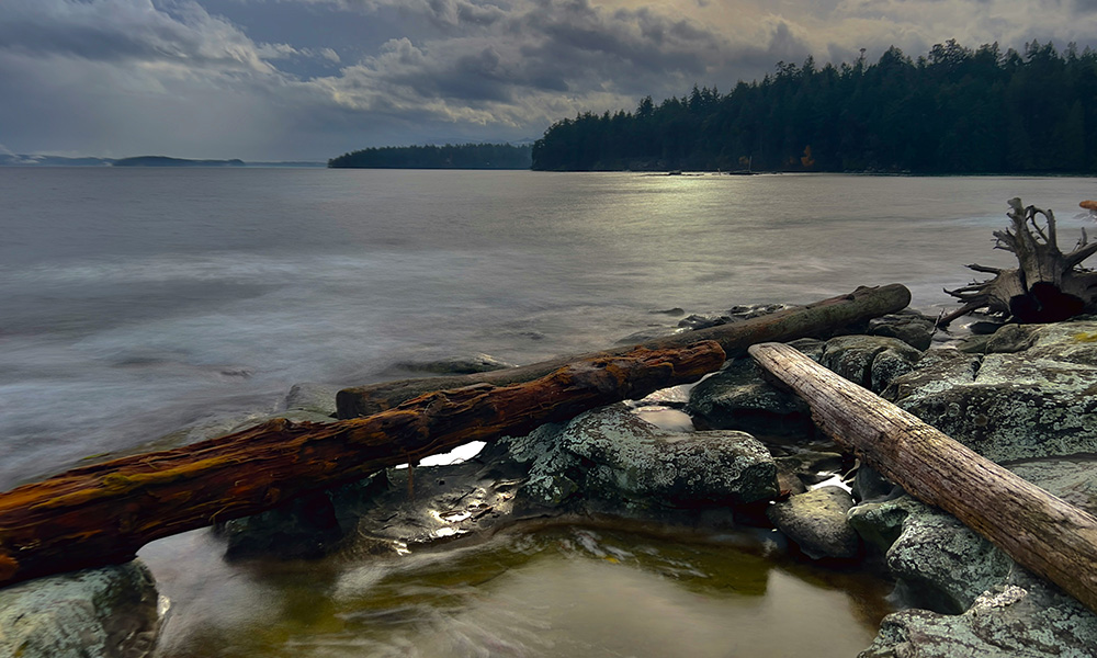 A log laying on top of a rocky beach.