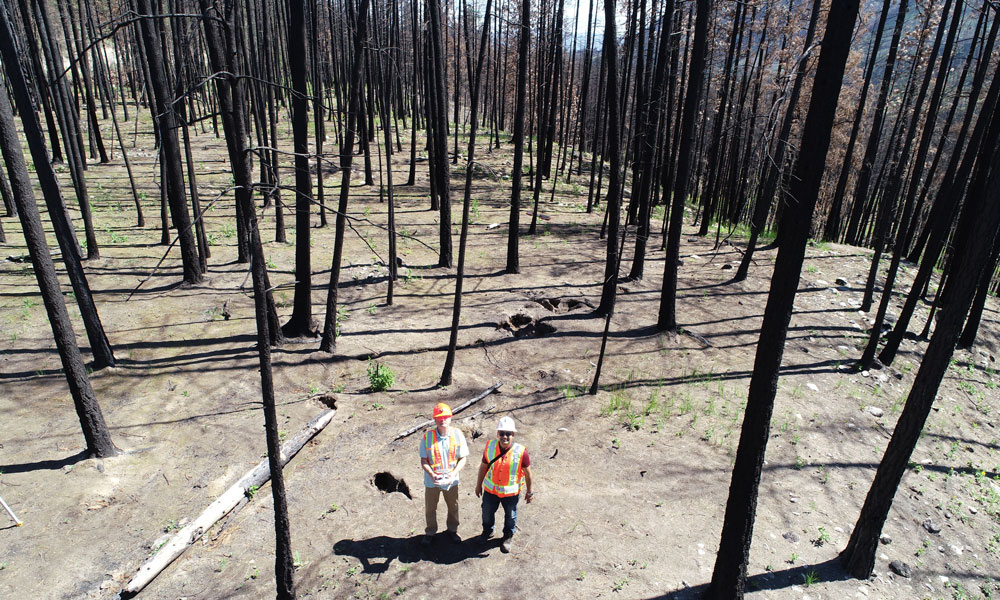 Kaushal Gnyawali and Dr. Dwayne Tannant stand in a burned forest, surrounded by charred trees.