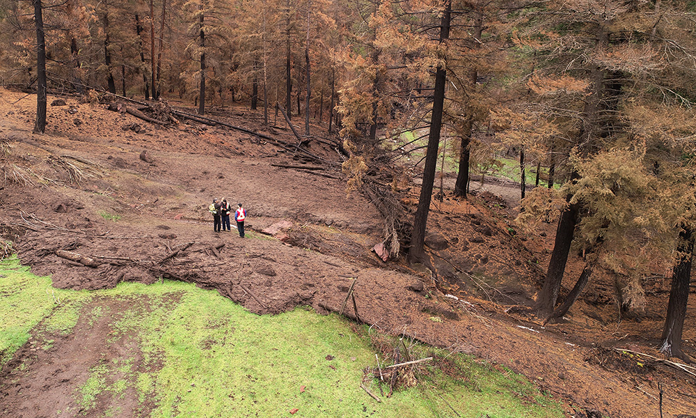 A wide shot of mudslide debris in a forest - people are in the picture and very tiny in the background, showcasing the volume of mud that was deposited