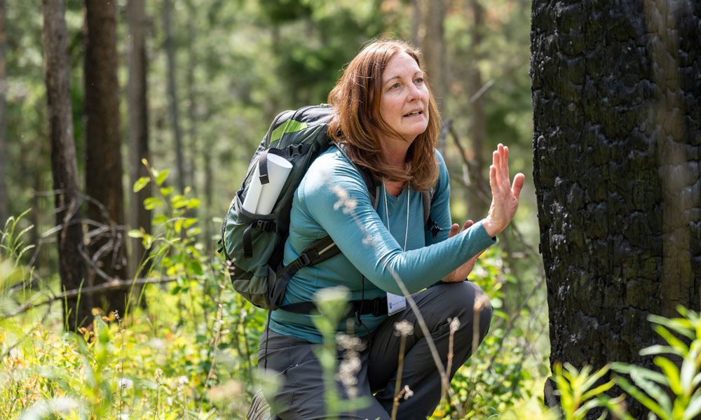 Dr. Lori Daniels kneels next to a clearly burned tree and holds her hand near the bark