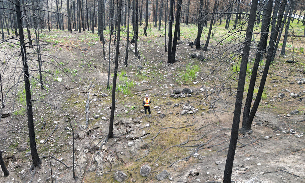 Kaushal Gnyawali stands in a burned forest as seen from his drone