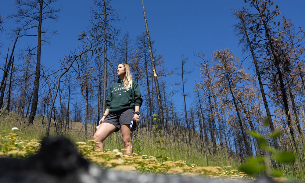 Dr. Madden Brewster stands in a field of burned trees against a bright blue sky. The brown of the trees contrasts with the blue of the sky and the green field growing