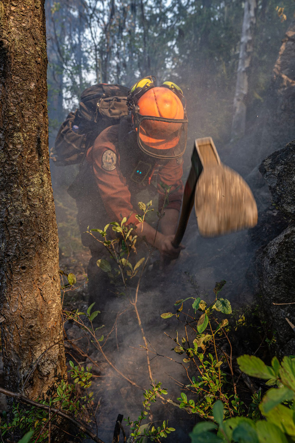 A wildland firefighter hacks at some smouldering ground with a tool resembling a hoe.