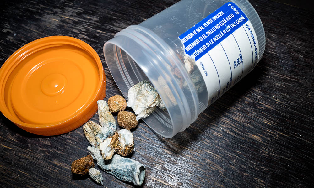 Dried psychedelic mushrooms are laying beside a dispensing container. 