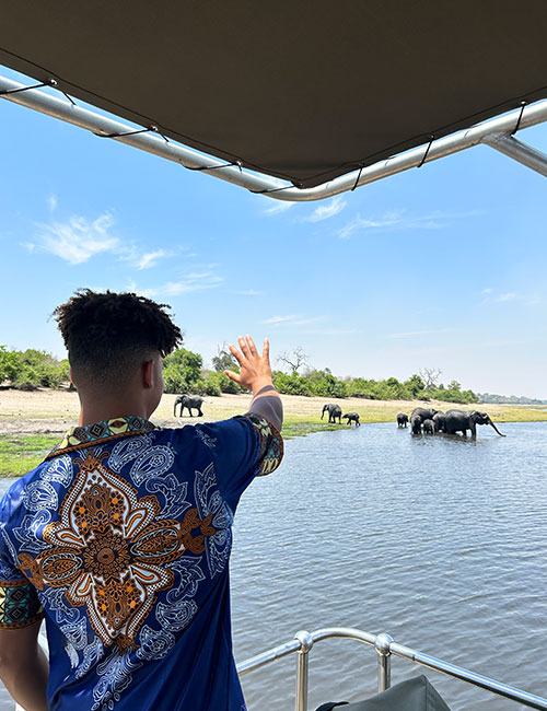 A man waves from a boat to elephants in the water